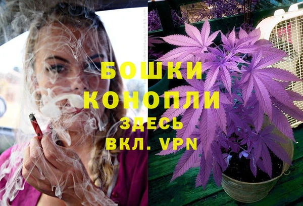 прущие крисы Белокуриха