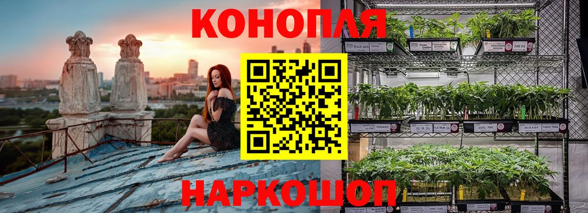 Конопля LSD WEED  Канабис SATIVA & INDICA  Заречный  Бошки Шишки AK-47  Вход с VPN 